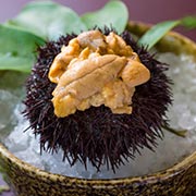 別注料理イメージ