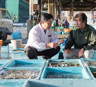 海の幸イメージ