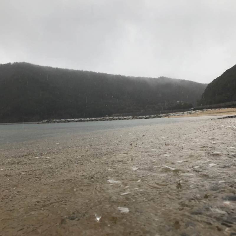 雨の海岸。