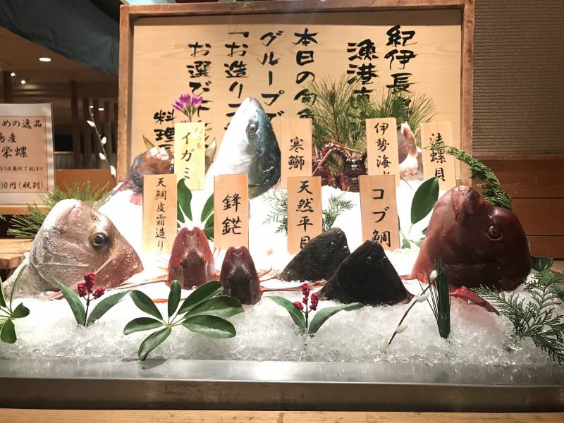 今日のお魚たち