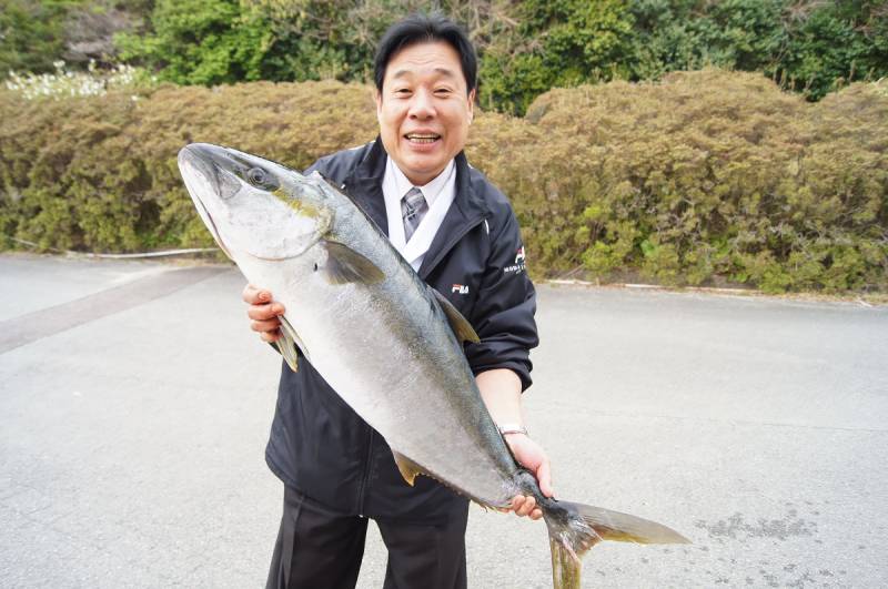 1000分の1【平政・ヒラマサ】と【鰤・ブリ】の食べ比べ！！2日間限定