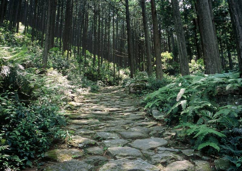 世界遺産・熊野古道「馬越峠」
