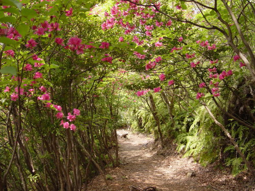 荷坂峠