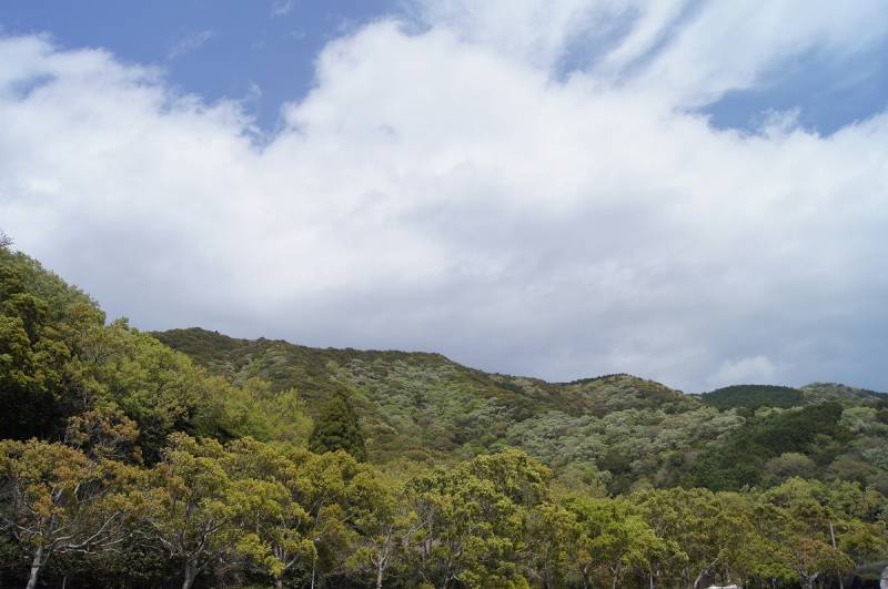 山が笑う、新緑の季節