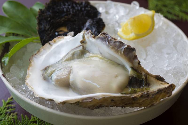 三重県の夏を代表する食材【岩牡蠣】が旬です！