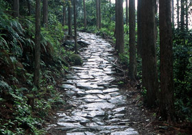 秋の季節で過ごしやすい気候の今、1000年以上の歴史を誇る世界遺産「熊野古道」の散策はいかがでしょうか？