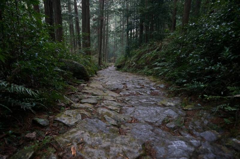 道の世界遺産は世界に2つ。日本の『紀伊山地の霊場と参詣道』・フランスとスペインにある『サンティアゴ・デ・コンポステーラ巡礼路』