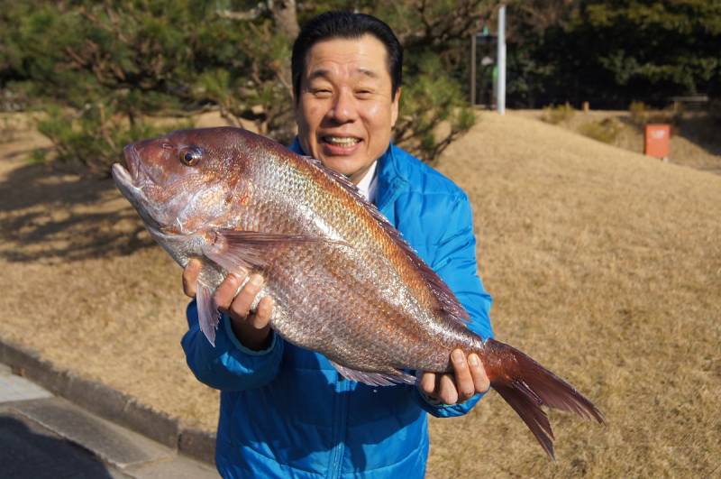 10キロ級【天然鯛】を紀伊長島港で中西総料理長がゲットしてきました！！