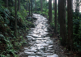 二大聖地を結ぶ祈りの道 世界遺産【熊野古道 伊勢路】