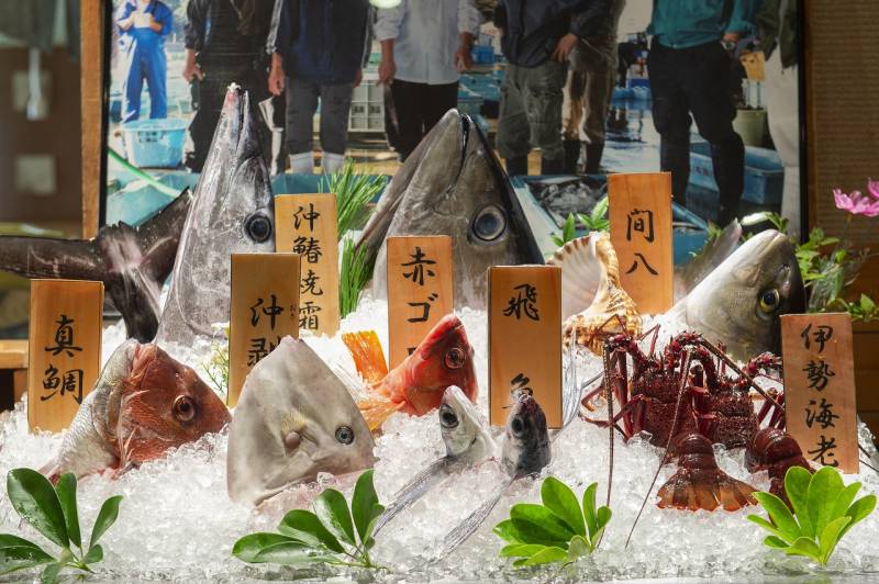 三重県の魚料理を楽しむなら【季の座】へ！夕食はお造り食べ比べ、朝食は干物食べ比べ。