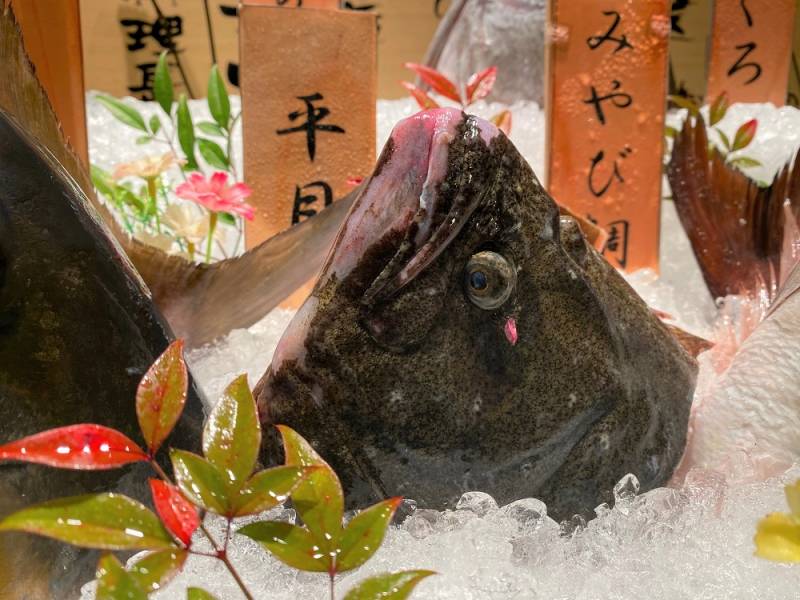 選べるお造りに登場！