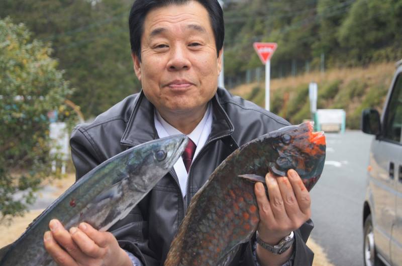 本日の仕入れ【釣り鰆】・【活イガミ】