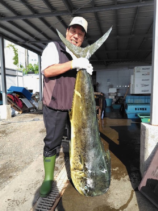 本日プリフィックス登場！！