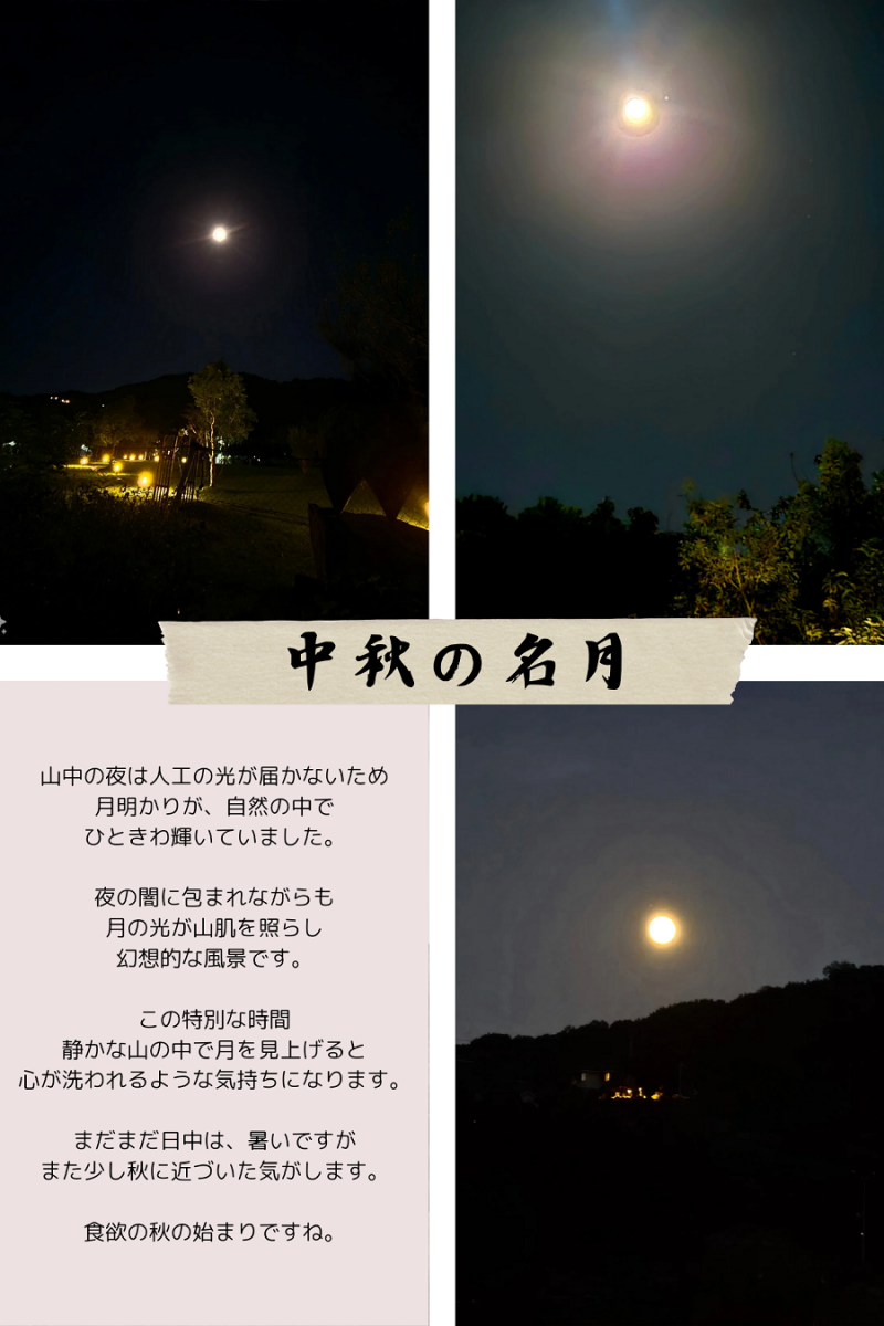 中秋の名月が輝く夜