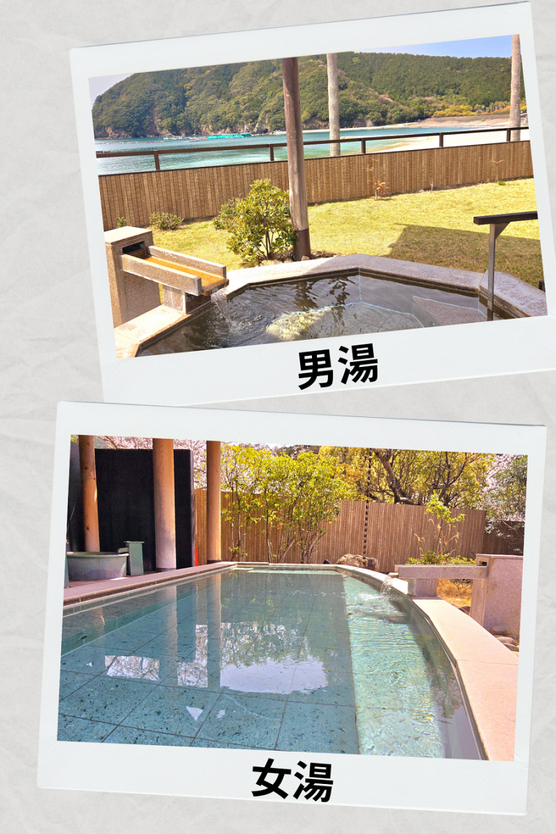 紀北町の春
