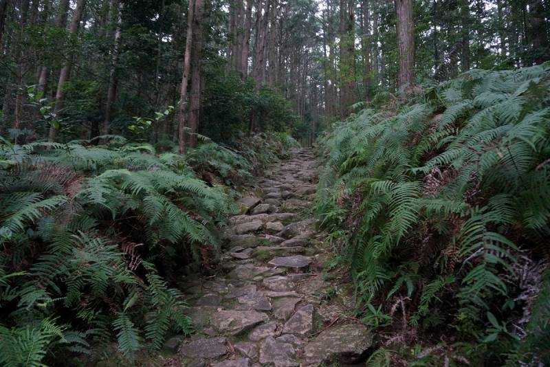 馬越峠（お車で約35分）