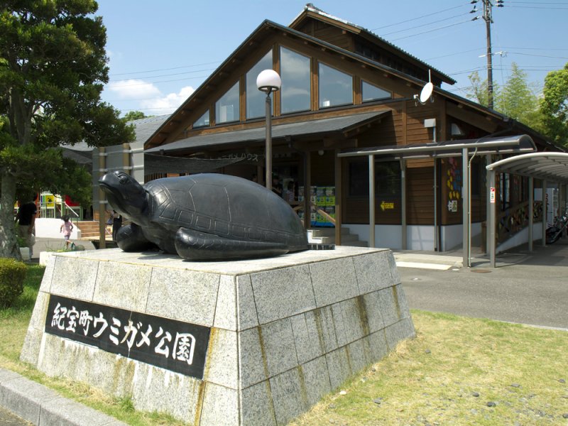 8/27　ウミガメ公園ミニ朝市