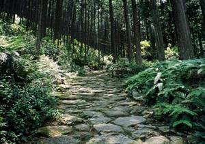 【通年】世界遺産熊野古道「伊勢路」