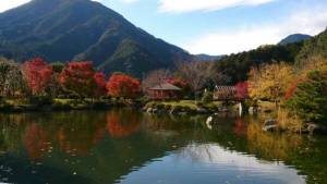 【通年】種まき権兵衛の里（「ごんべえ桜（河津桜）」、紅葉）