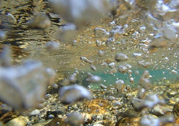 Snorkelling