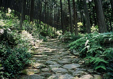 세계유산으로 지정된 쿠마노코도