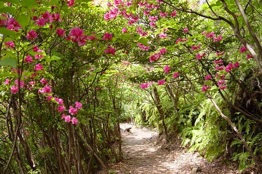 荷坂峠（にざかとうげ）