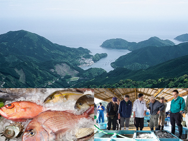 紀北町の景色・海の恵みイメージ