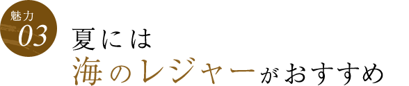 【魅力03】夏には海のレジャーがおすすめ