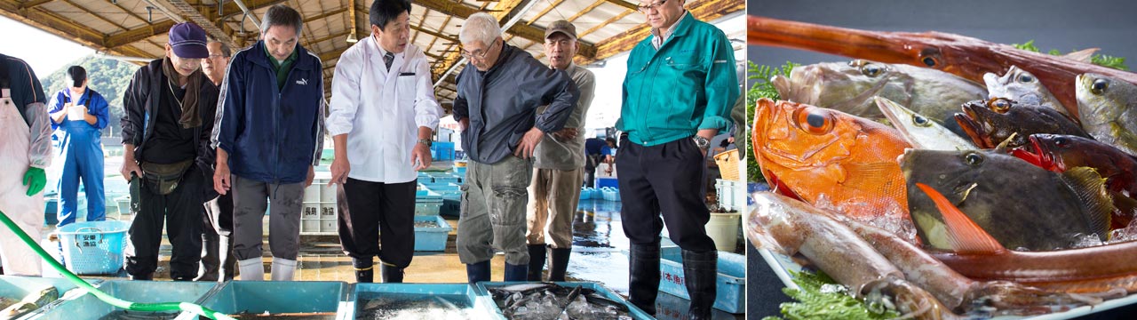 紀北町の景色・海の恵みイメージ